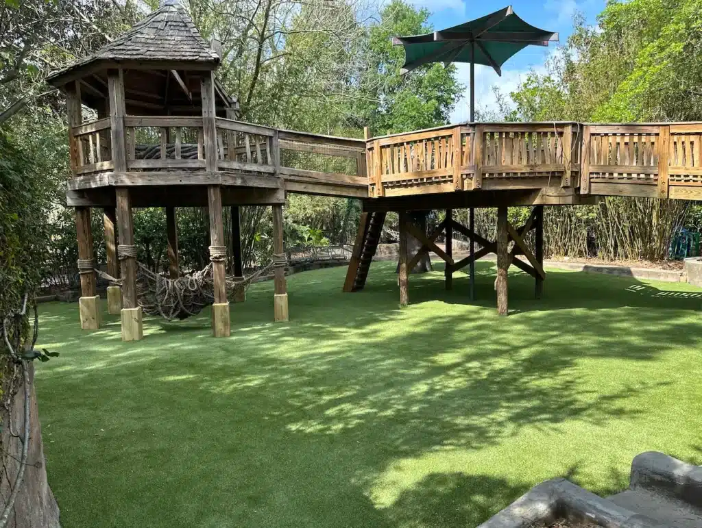 zoo synehtic lawn