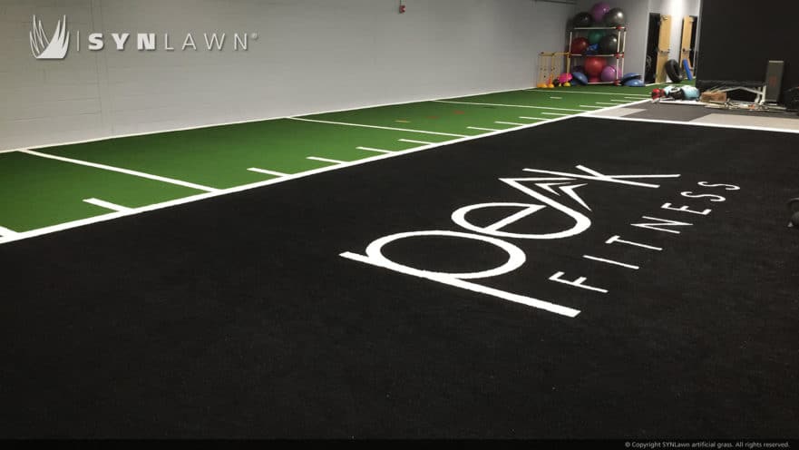 SynLawn Agility and Track Artificial grass