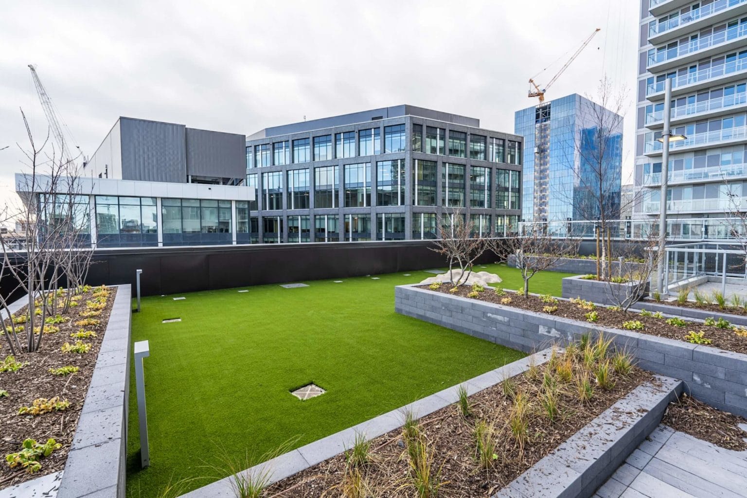 Artificial Grass Lawns in Jacksonville, FL SYNLawn Jacksonville