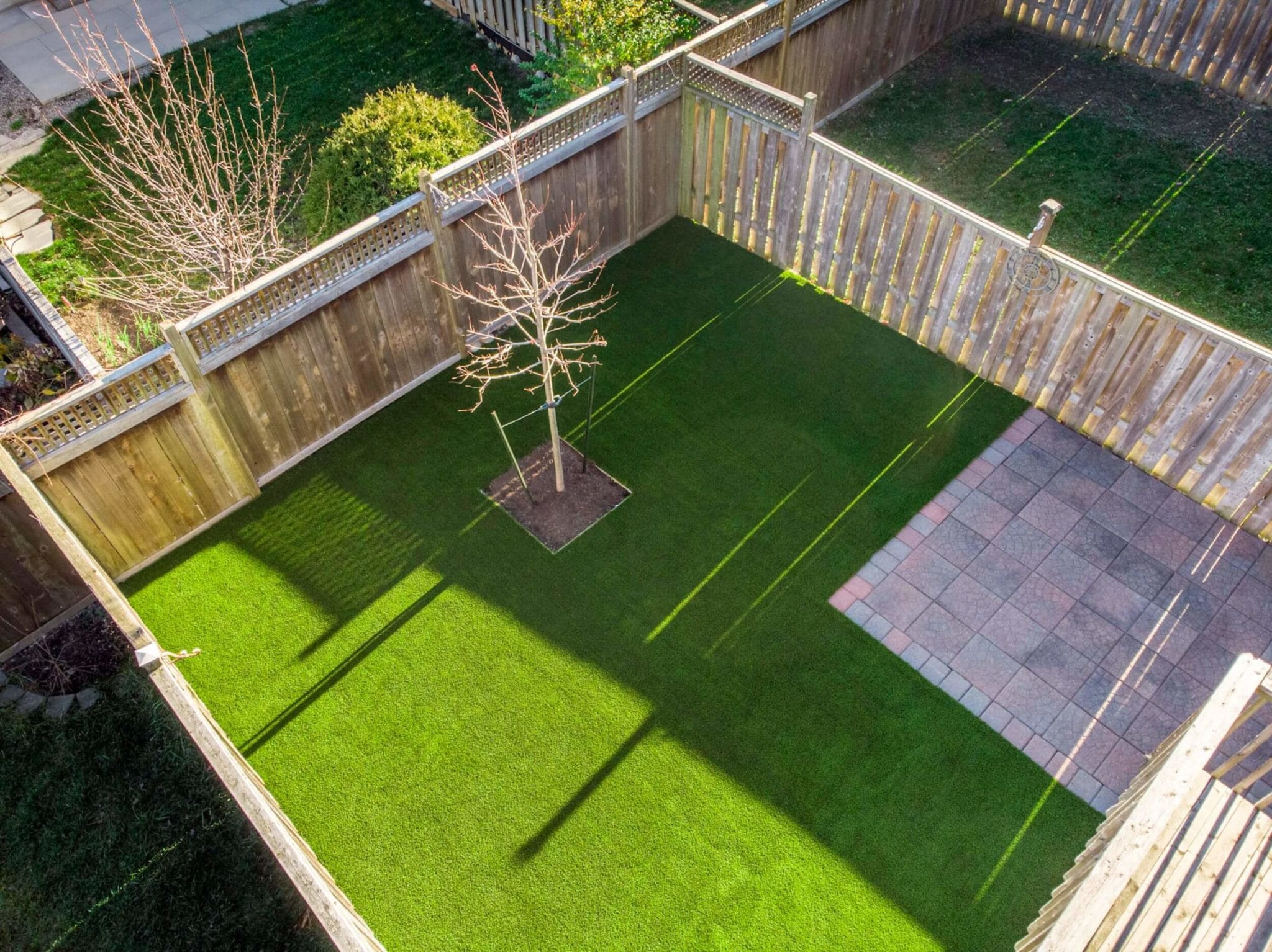 Artificial grass backyard