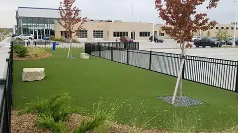 Fenced in artificial grass dog park